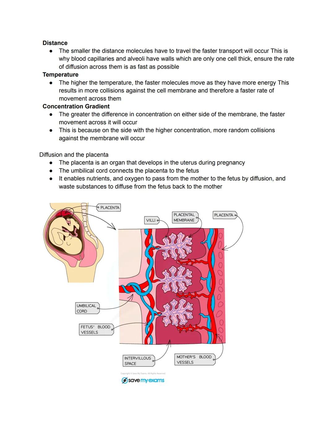 •
BIOLOGY
Characteristics of Living Organisms
Movement: an action by an organism or part of an organism causing a change of
position or plac