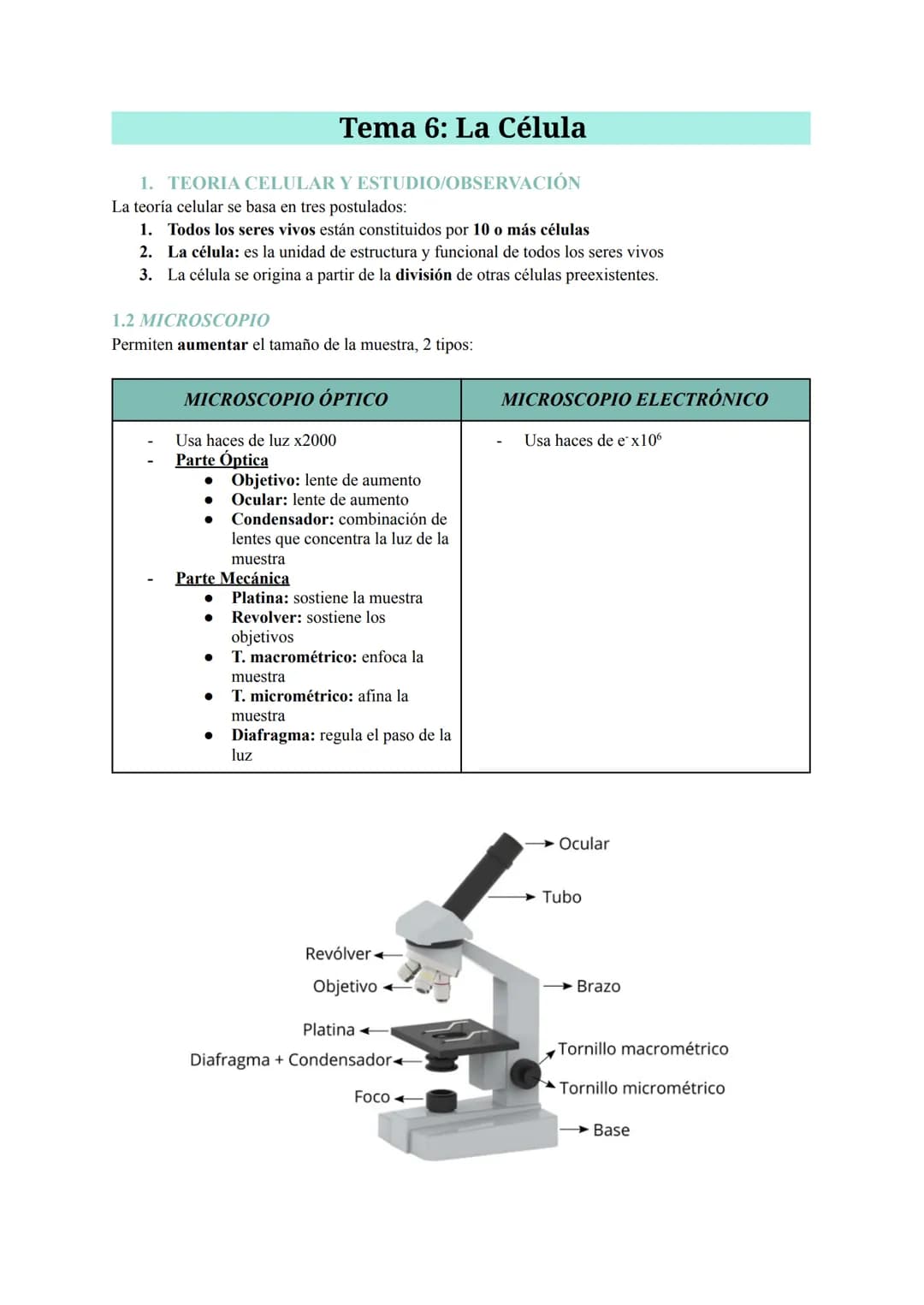 Tema 6: La Célula
1. TEORIA CELULAR Y ESTUDIO/OBSERVACIÓN
La teoría celular se basa en tres postulados:
1. Todos los seres vivos están const