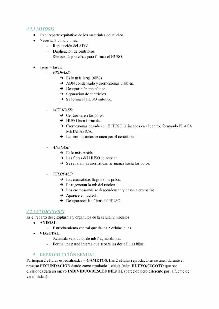 Tema 6: La Célula
1. TEORIA CELULAR Y ESTUDIO/OBSERVACIÓN
La teoría celular se basa en tres postulados:
1. Todos los seres vivos están const