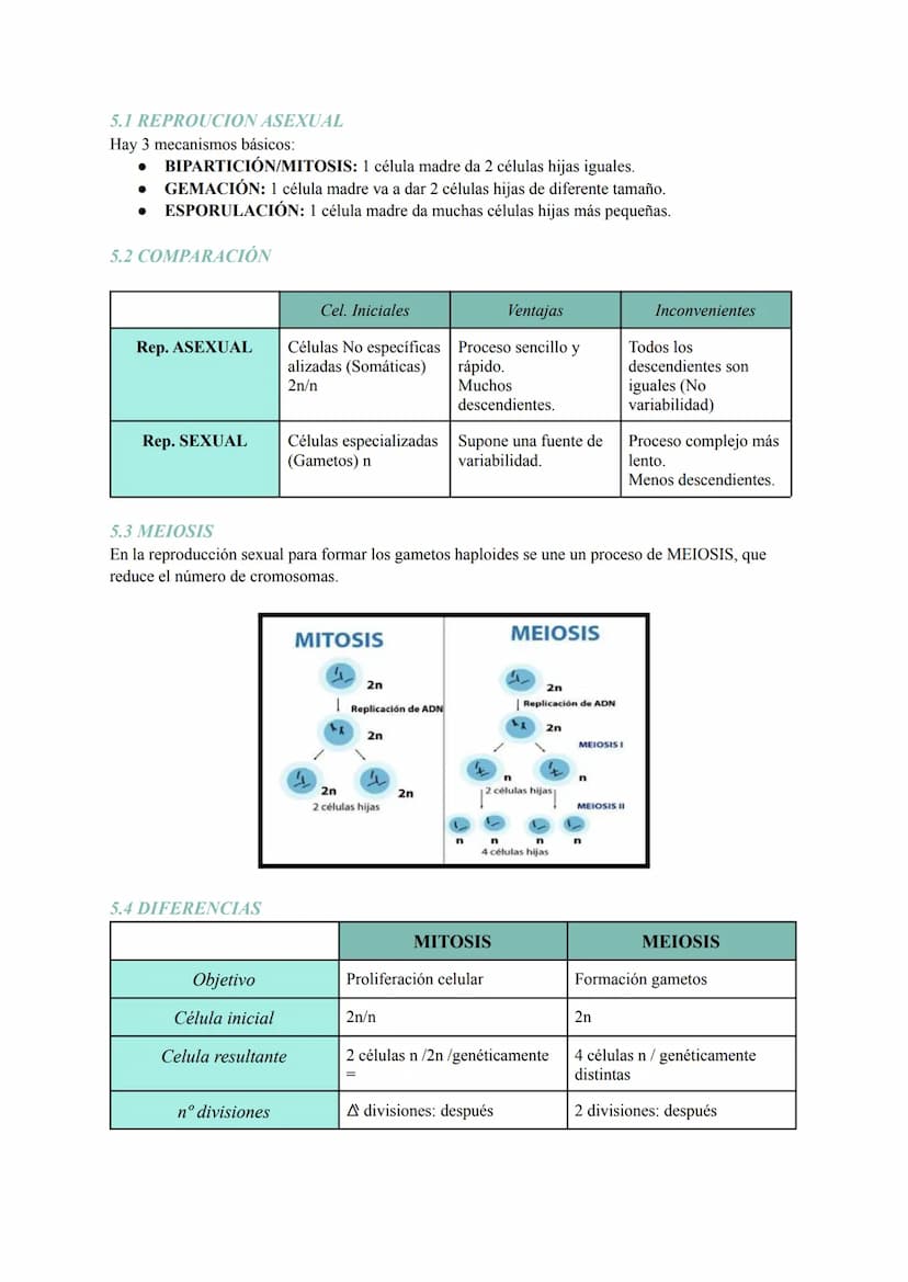 Tema 6: La Célula
1. TEORIA CELULAR Y ESTUDIO/OBSERVACIÓN
La teoría celular se basa en tres postulados:
1. Todos los seres vivos están const