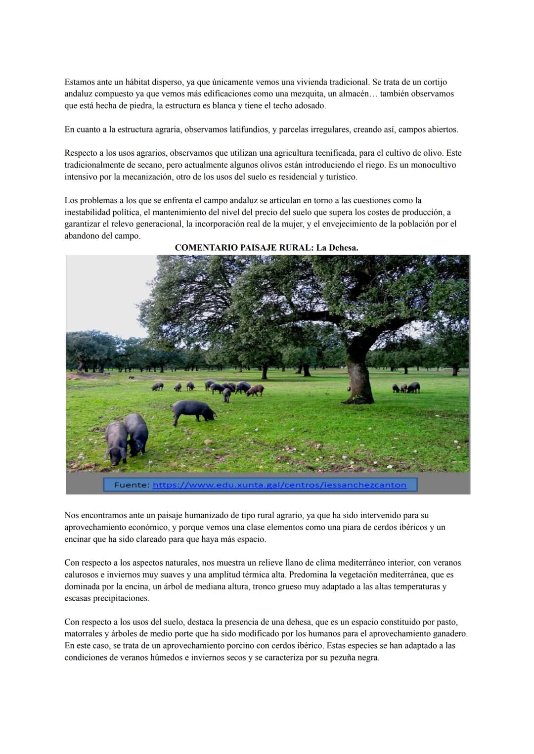 COMENTARIO PAISAJE NATURAL DE ALTA MONTAÑA: LAGO ENOL
Nos encontramos ante un paisaje natural ya que no se observan evidencias de intervenci