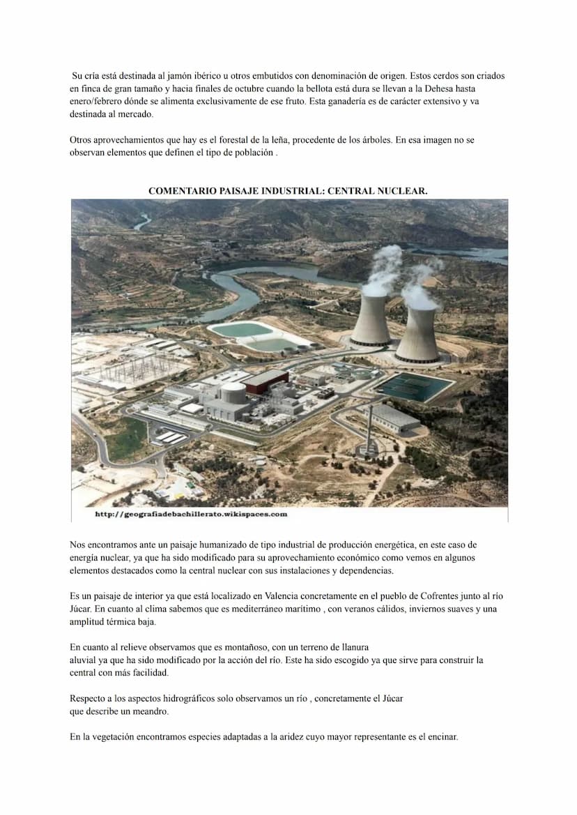 COMENTARIO PAISAJE NATURAL DE ALTA MONTAÑA: LAGO ENOL
Nos encontramos ante un paisaje natural ya que no se observan evidencias de intervenci