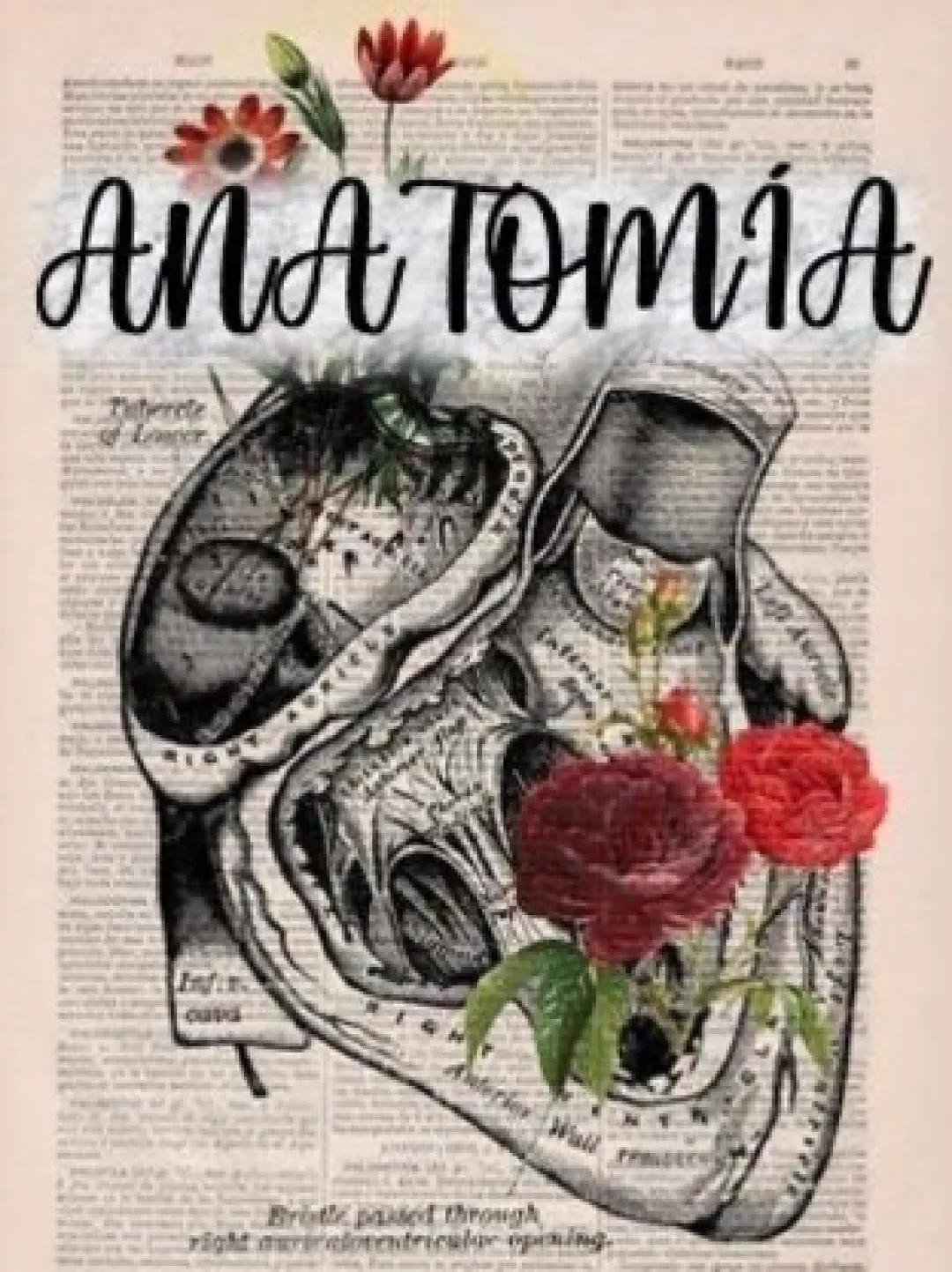 Libro y Juegos de Anatomía y Aparato Digestivo para Bachillerato