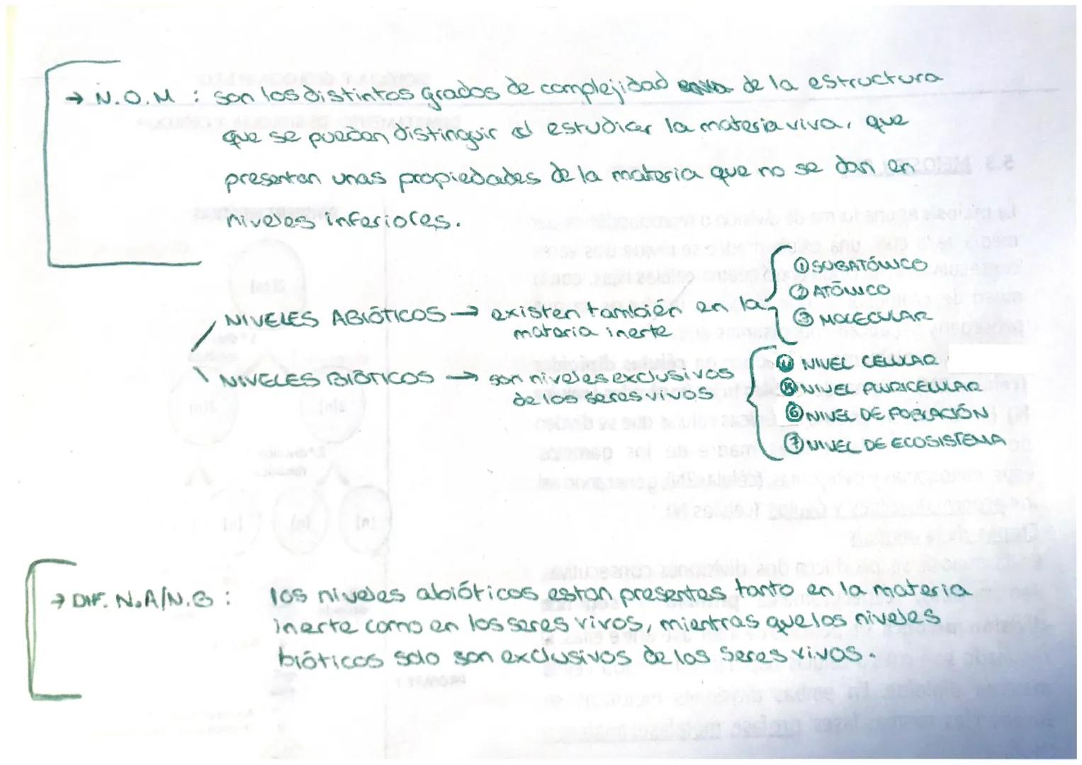 →N.O.M: son los distintos grados de complejidad Bava de la estructura
que se pueden distinguir al estudiar la materia viva, que
presentan un