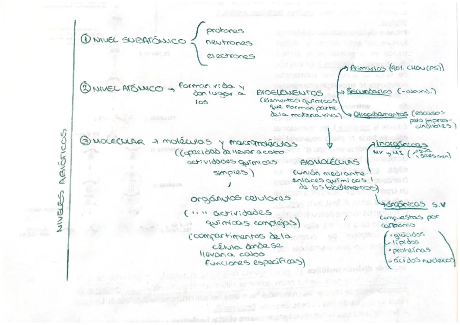 →N.O.M: son los distintos grados de complejidad Bava de la estructura
que se pueden distinguir al estudiar la materia viva, que
presentan un