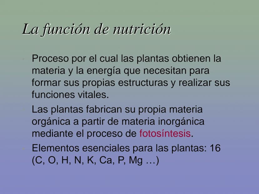 Tema 11: La nutrición en las plantas
Dióxido de carbono
Savia
bruta
Agua
Luz
Agua
Oxígeno
Savia
elaborada
Sales
minerales La función de nutr