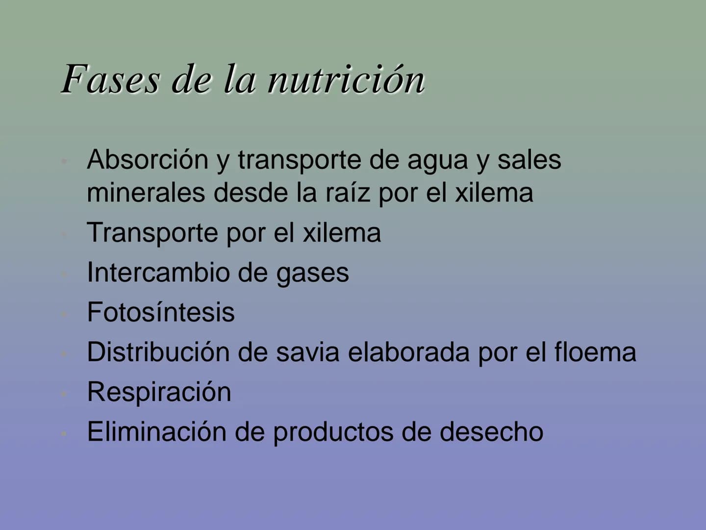 Tema 11: La nutrición en las plantas
Dióxido de carbono
Savia
bruta
Agua
Luz
Agua
Oxígeno
Savia
elaborada
Sales
minerales La función de nutr