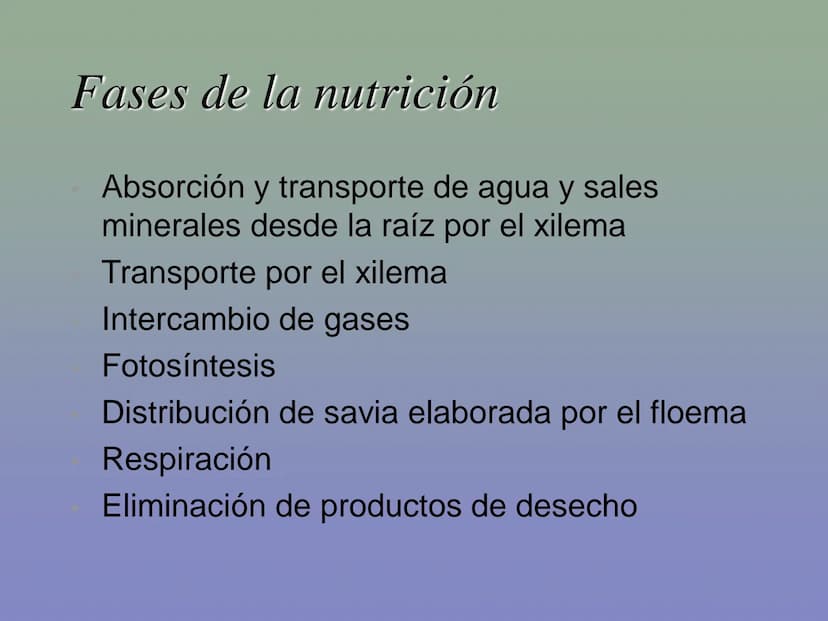 Tema 11: La nutrición en las plantas
Dióxido de carbono
Savia
bruta
Agua
Luz
Agua
Oxígeno
Savia
elaborada
Sales
minerales La función de nutr