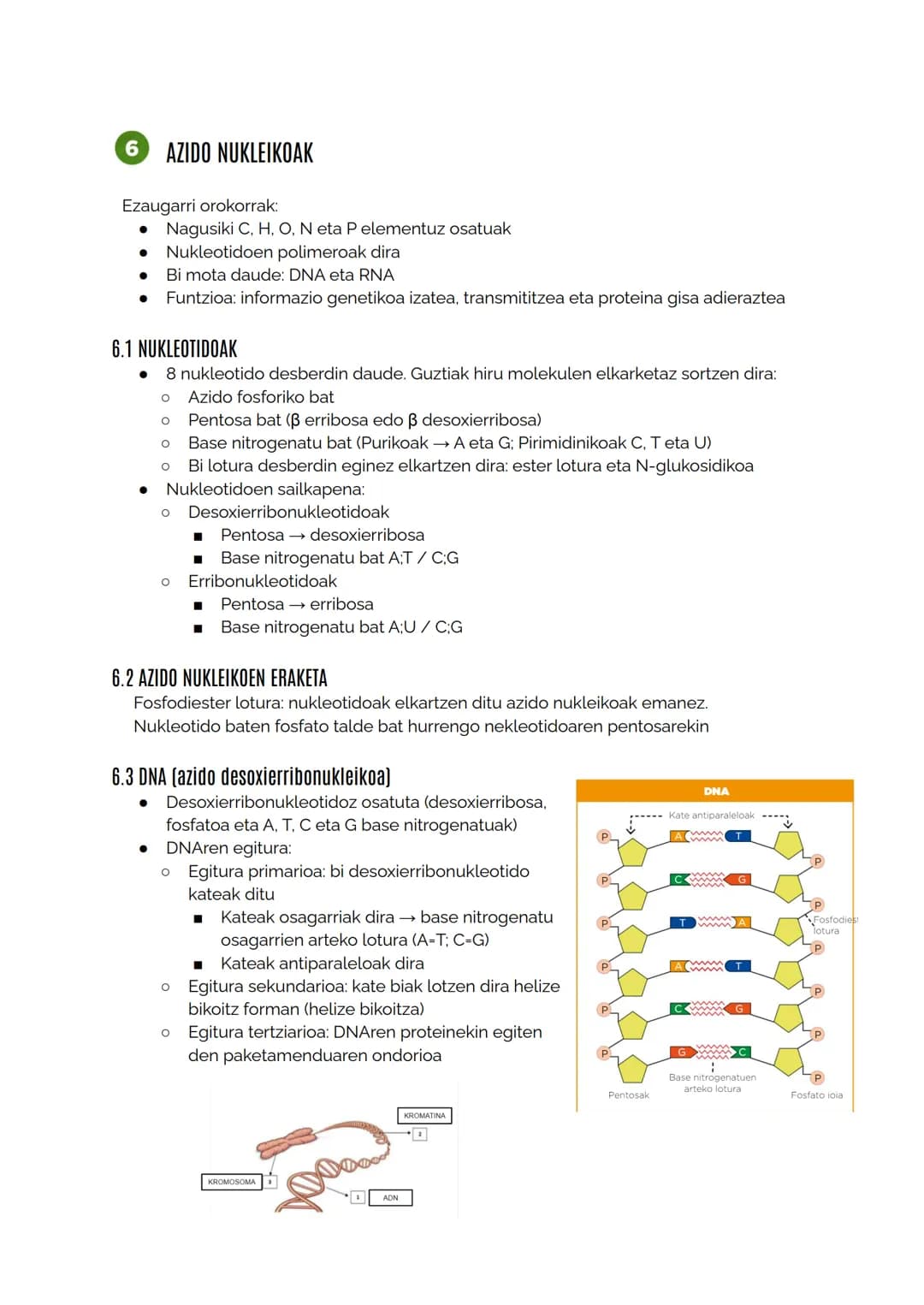 MATERIA BIZIDUNAREN KONPOSIZIOA
1.1 Izaki bizidunak definitzen dituzten ezaugarriak
Berdintasuna:
O Kimikoa: osaketa molekularra berdina
■ E