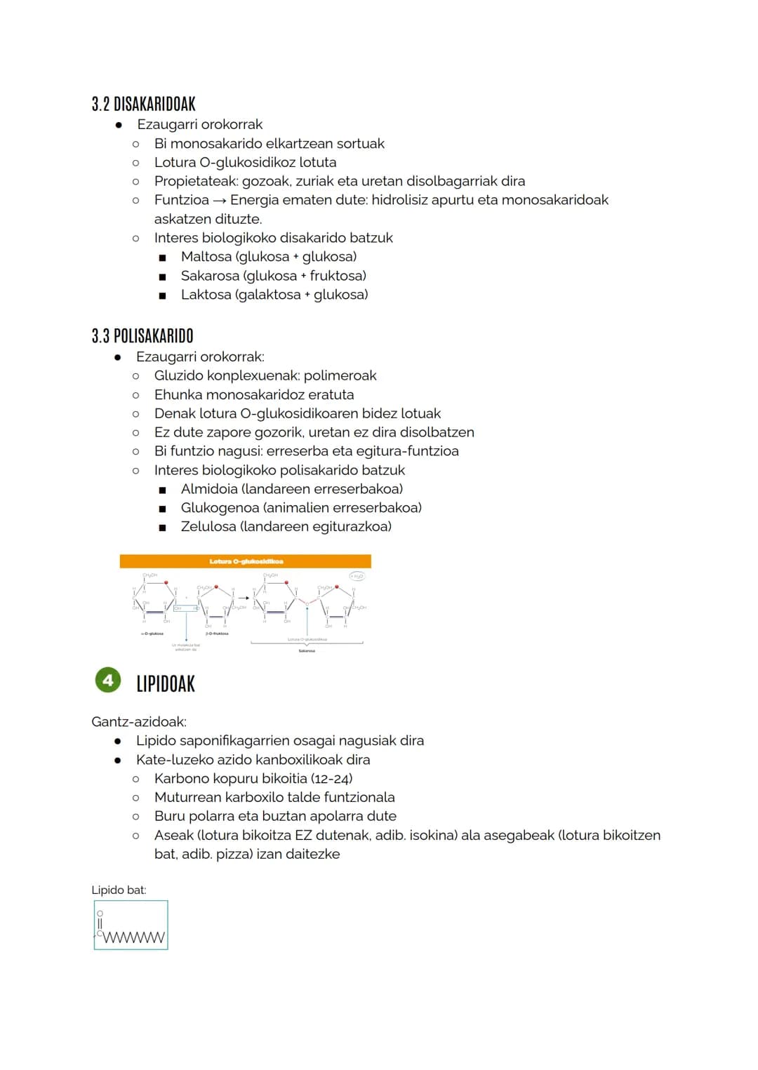 MATERIA BIZIDUNAREN KONPOSIZIOA
1.1 Izaki bizidunak definitzen dituzten ezaugarriak
Berdintasuna:
O Kimikoa: osaketa molekularra berdina
■ E