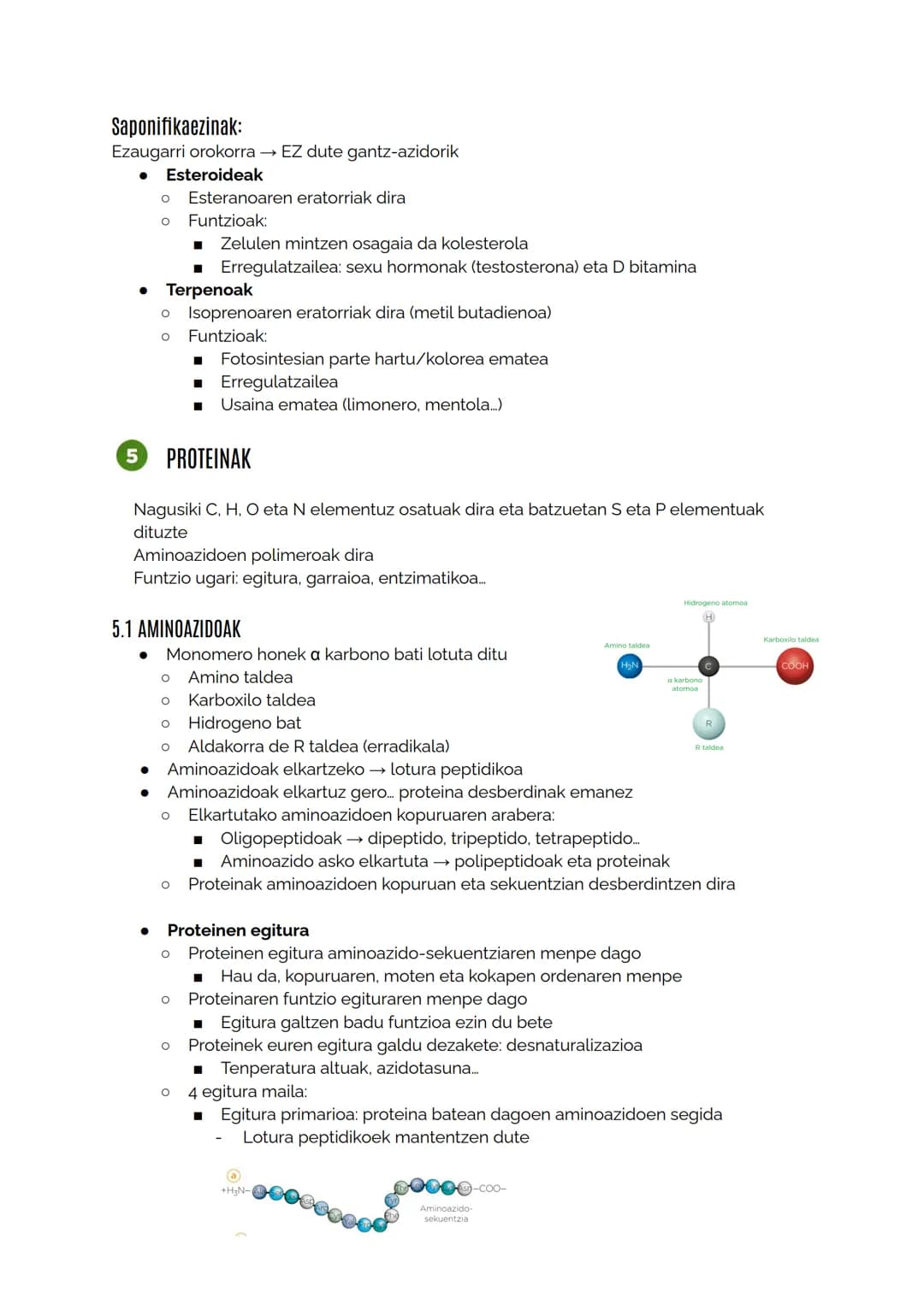 MATERIA BIZIDUNAREN KONPOSIZIOA
1.1 Izaki bizidunak definitzen dituzten ezaugarriak
Berdintasuna:
O Kimikoa: osaketa molekularra berdina
■ E