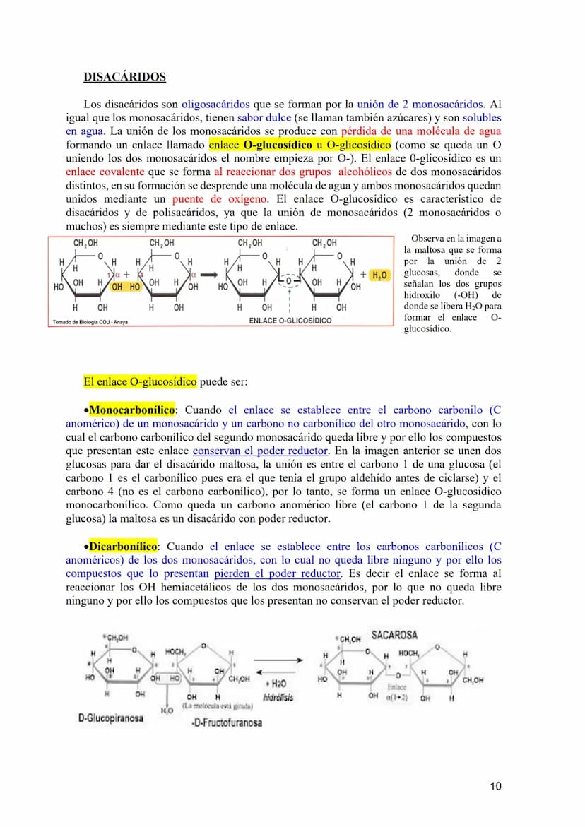 TEMA 2.- GLÚCIDOS
1. Composición química general y nomenclatura. Funciones generales (energética y
estructural) y clasificación (monosacárid