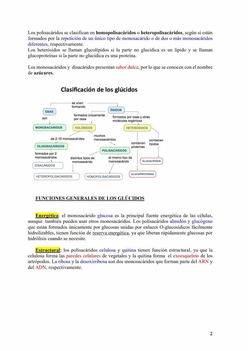 TEMA 2.- GLÚCIDOS
1. Composición química general y nomenclatura. Funciones generales (energética y
estructural) y clasificación (monosacárid