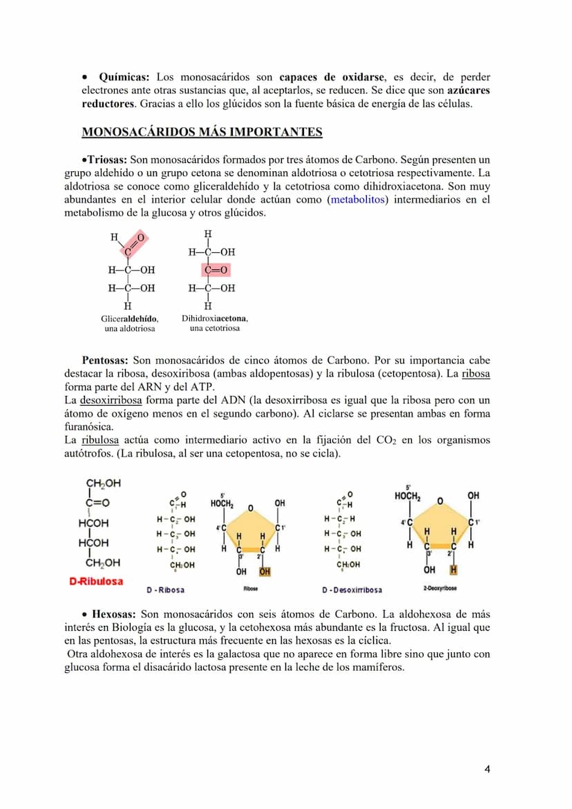 TEMA 2.- GLÚCIDOS
1. Composición química general y nomenclatura. Funciones generales (energética y
estructural) y clasificación (monosacárid
