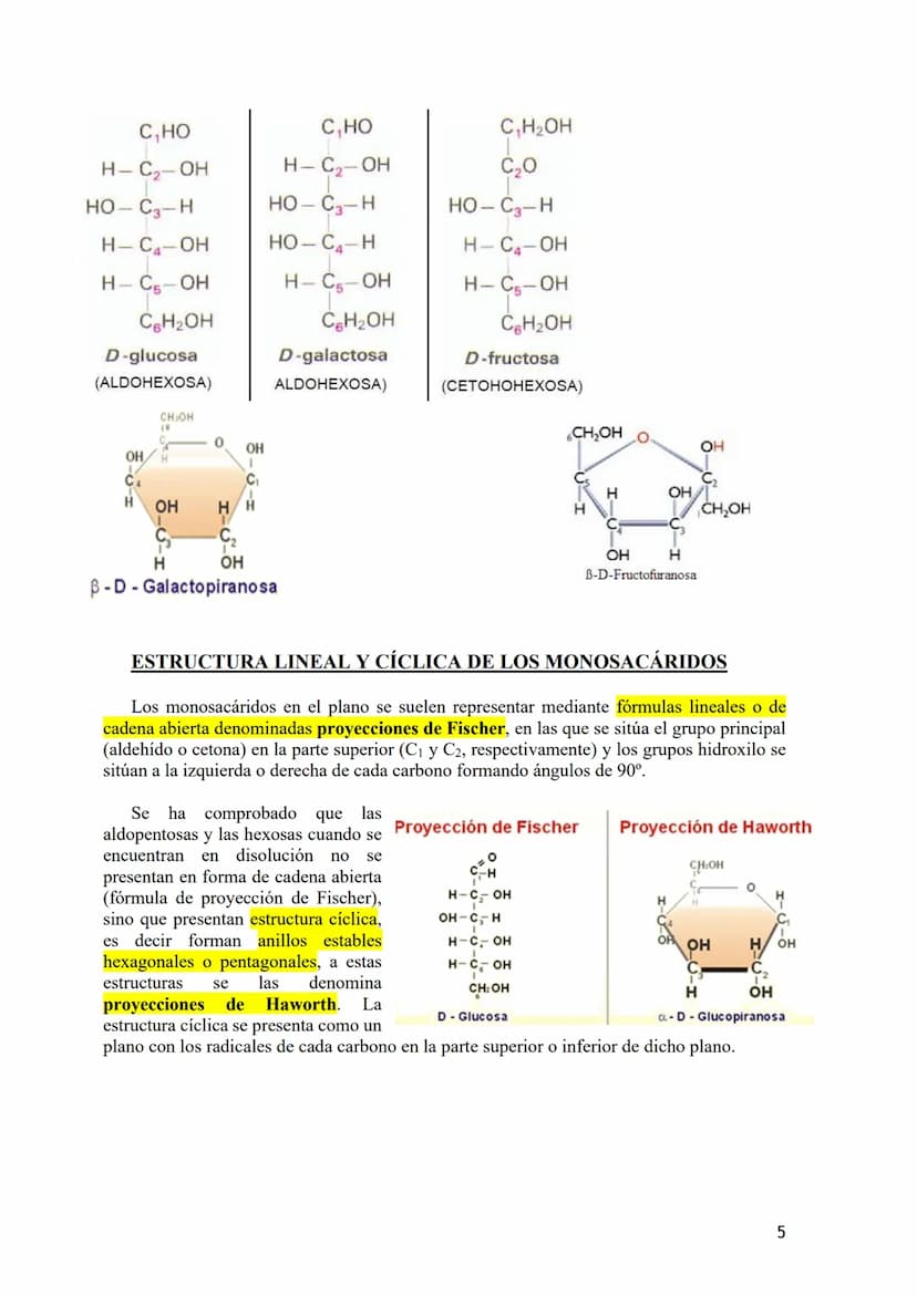 TEMA 2.- GLÚCIDOS
1. Composición química general y nomenclatura. Funciones generales (energética y
estructural) y clasificación (monosacárid