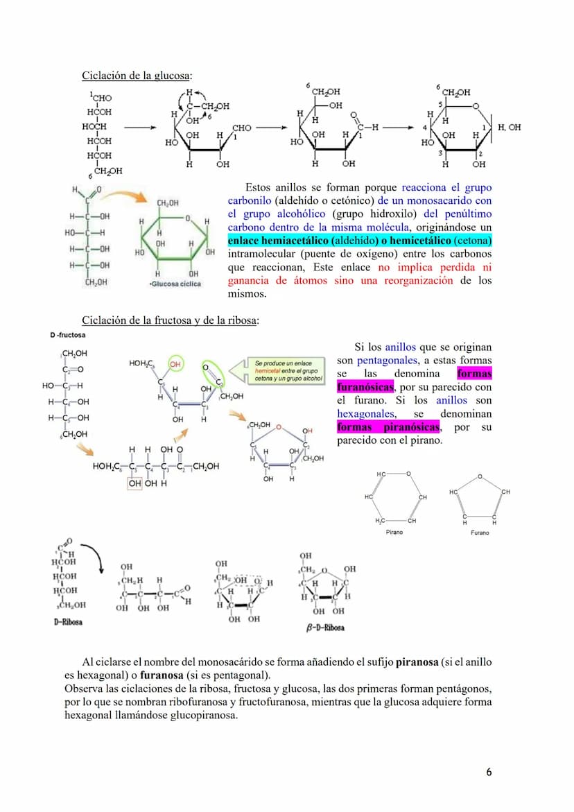 TEMA 2.- GLÚCIDOS
1. Composición química general y nomenclatura. Funciones generales (energética y
estructural) y clasificación (monosacárid