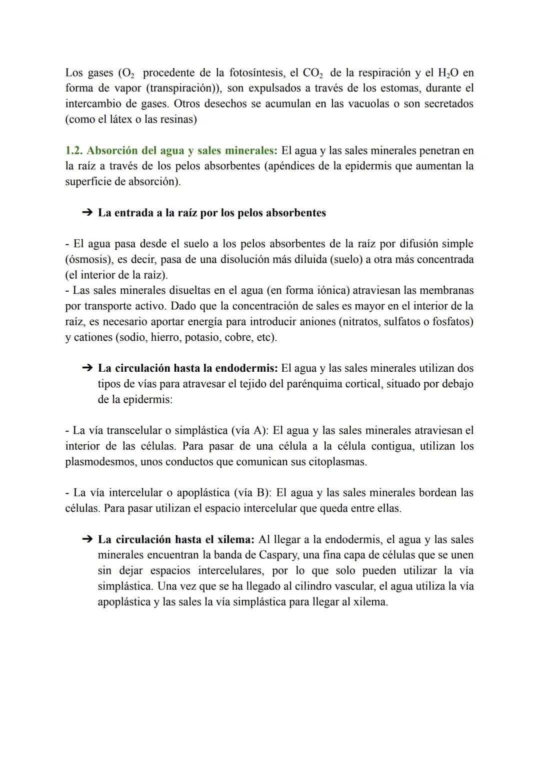 T-7: Las funciones vitales de las plantas
1. Función de nutrición en plantas
Las plantas tienen nutrición autótrofa. Mediante la fotosíntesi