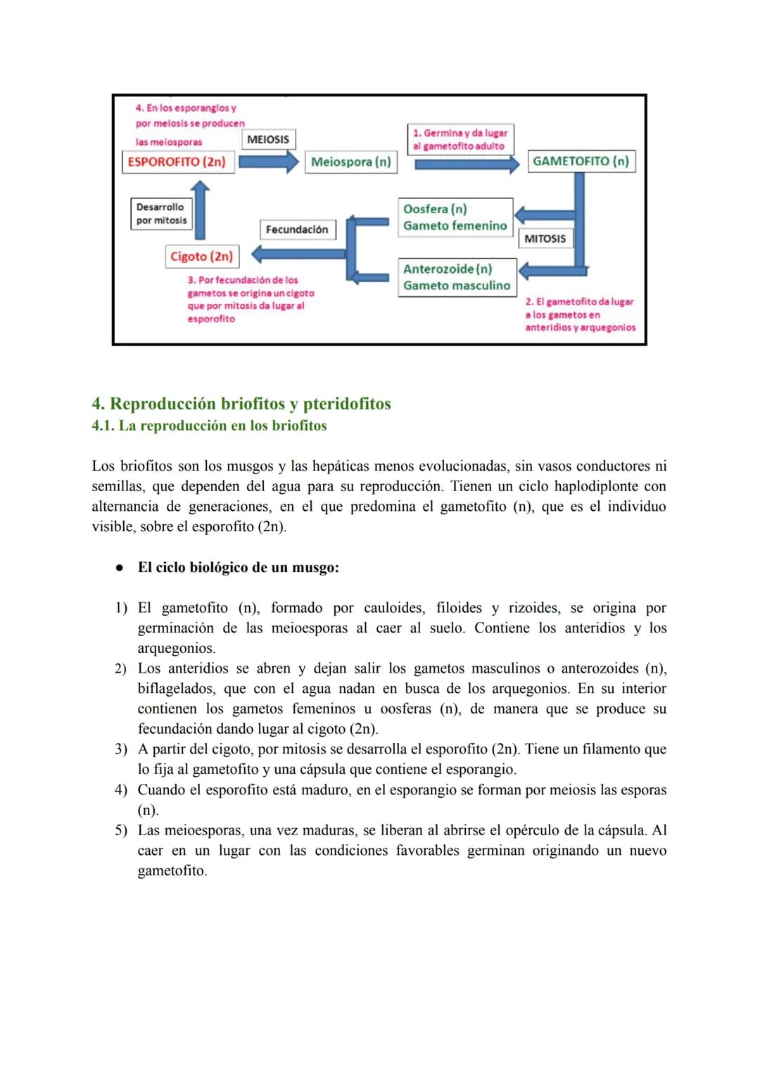 T-7: Las funciones vitales de las plantas
1. Función de nutrición en plantas
Las plantas tienen nutrición autótrofa. Mediante la fotosíntesi