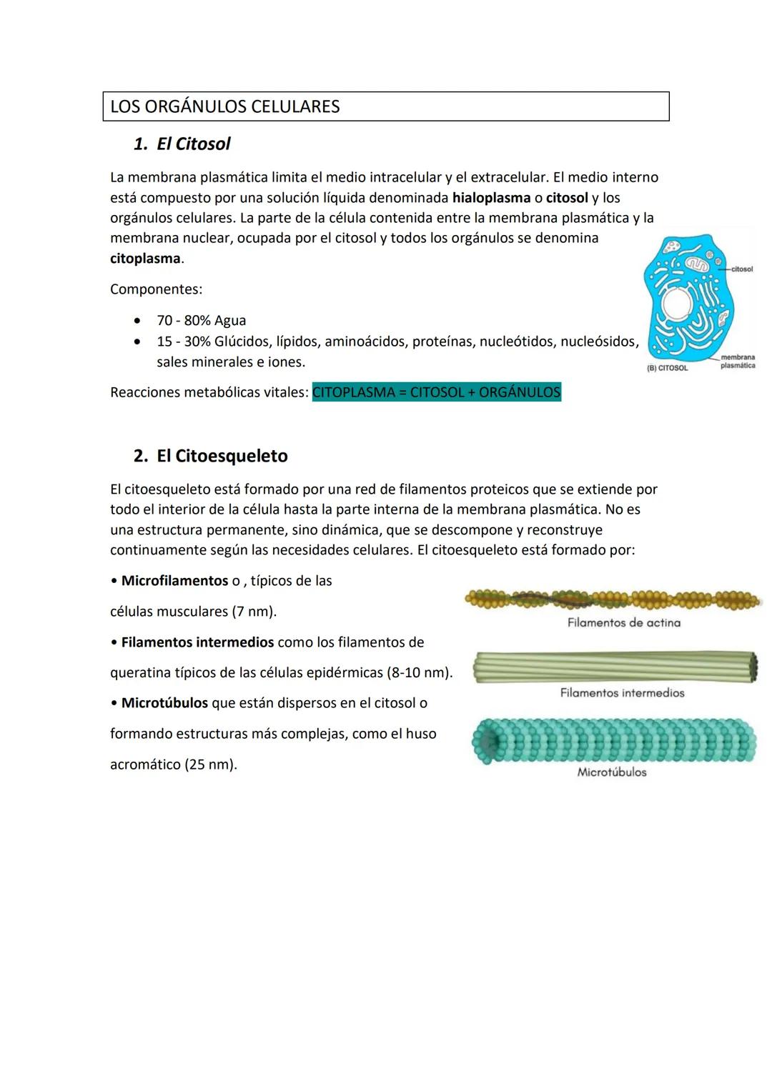 Unidad 2. La célula

LA CÉLULA Y LAS ENVOLTURAS CELULARES

1.La célula

1.1 Teoría celular

Una célula es la unidad morfológica y funcional 