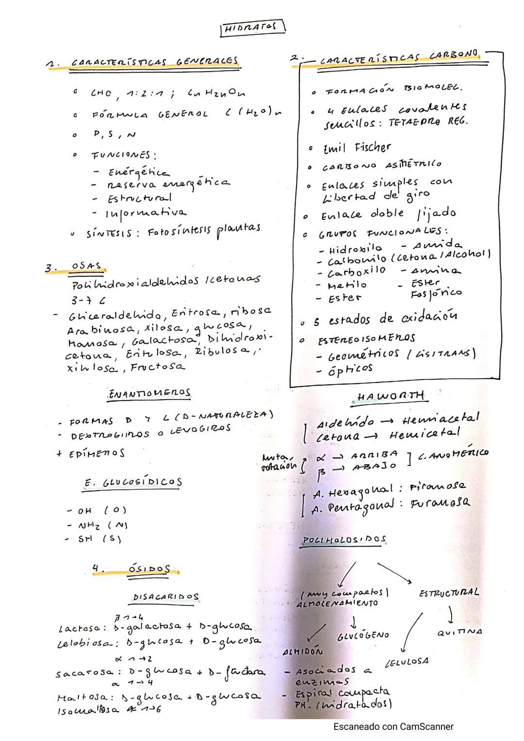CLASIFICACIÓN

osas

HOLÓSIDOS

IDIHIDROSIIDOS
CLIGOMOLÓSIDOS CONJUGADOS
POLI HOLOSIDOS

PROTEGLUL. GLUCOPROT GLUCOLÍP.

OSIDOS

HETE ROSIDO
