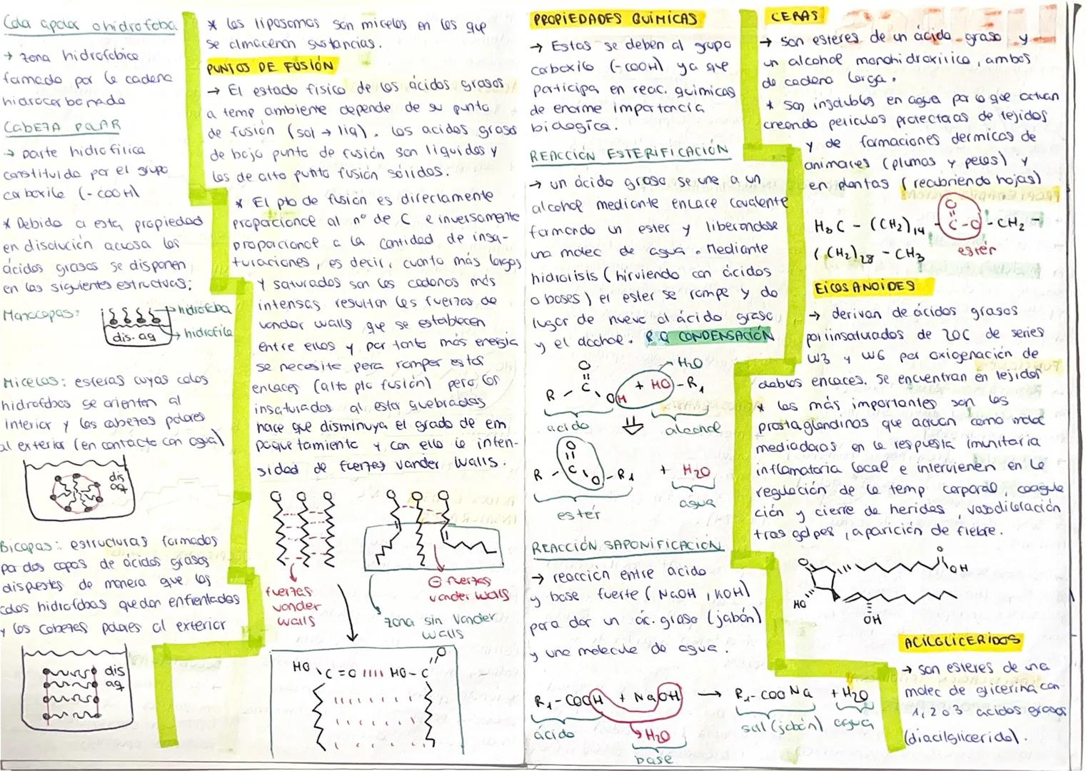 --- OCR Start ---
LIPIDOS
→Biomolecules organicos constituidos
cano las acilglicerides (grasos)
pa C, H, O algunos ademas P.N.S. cerides (ce