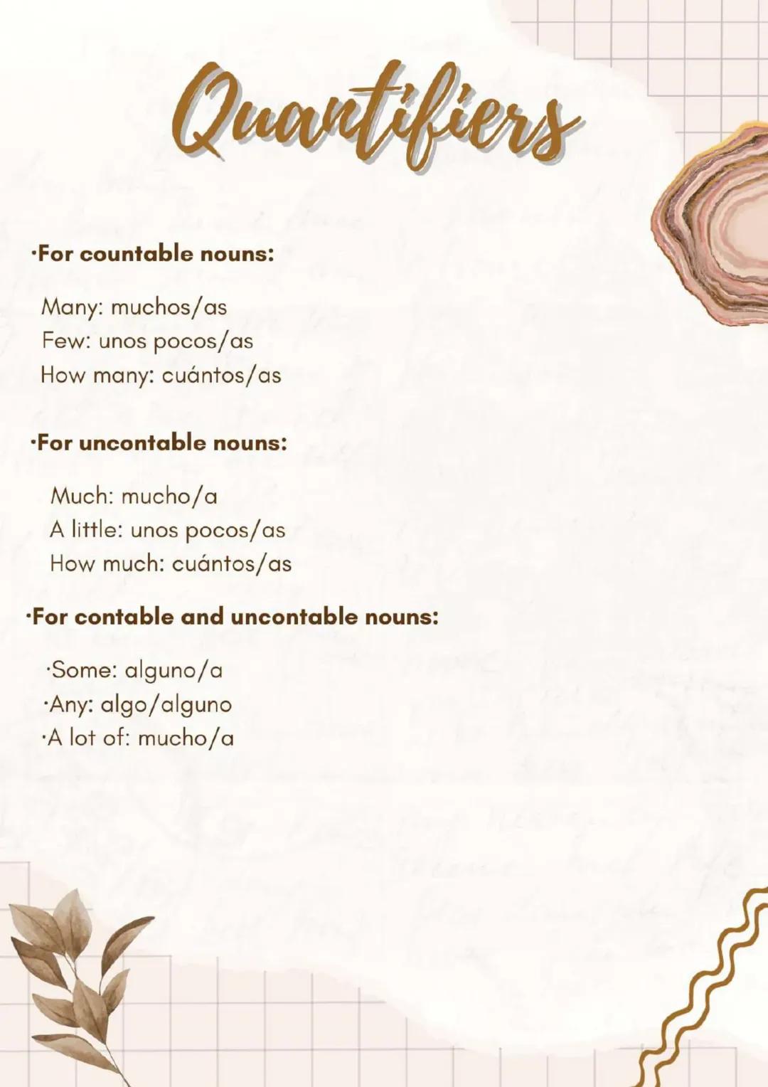 Cómo usar cuantificadores en español: Guía completa
