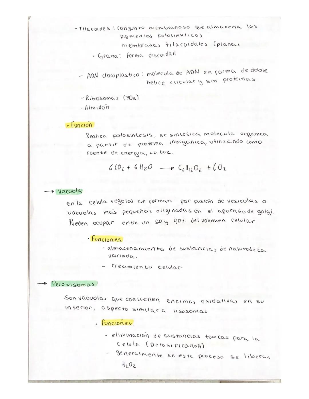 # La Celula

Teoria Celular

→ Es morfológica: Todo ser vivo esta compuesto por una o más celulas

→ Toda celula procede de otra ya existent