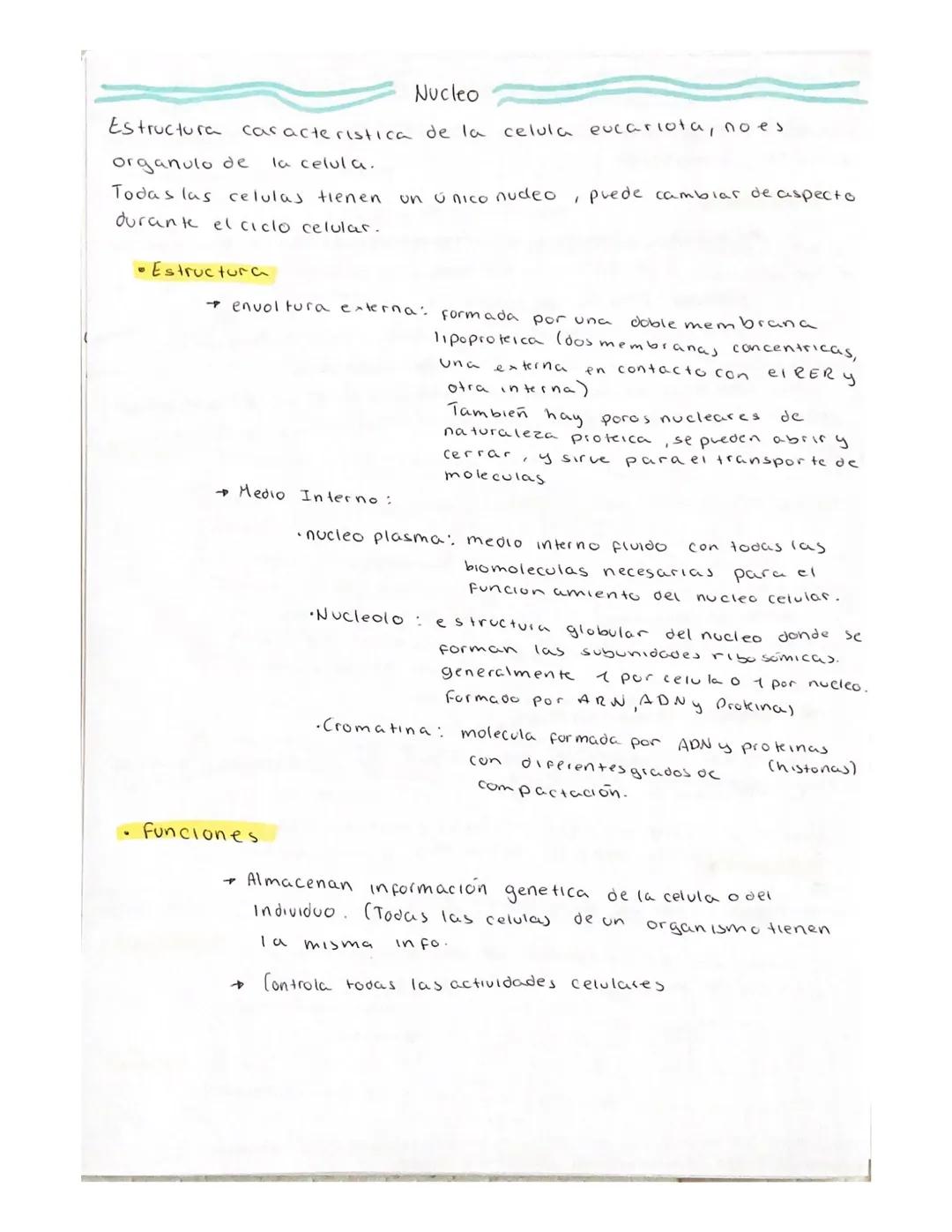 # La Celula

Teoria Celular

→ Es morfológica: Todo ser vivo esta compuesto por una o más celulas

→ Toda celula procede de otra ya existent