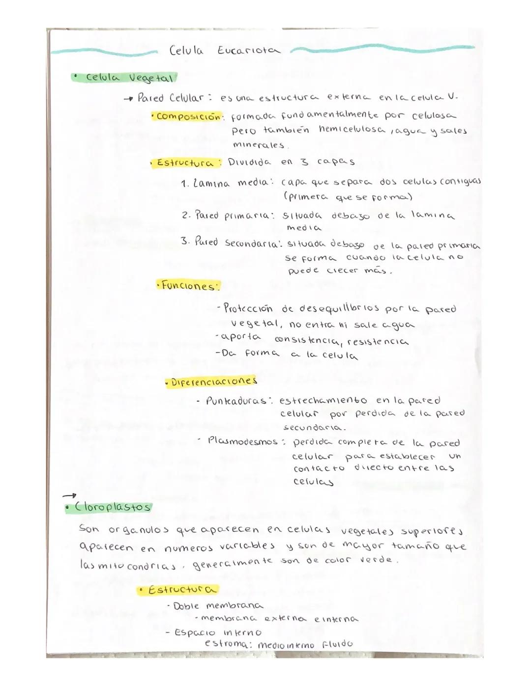 # La Celula

Teoria Celular

→ Es morfológica: Todo ser vivo esta compuesto por una o más celulas

→ Toda celula procede de otra ya existent