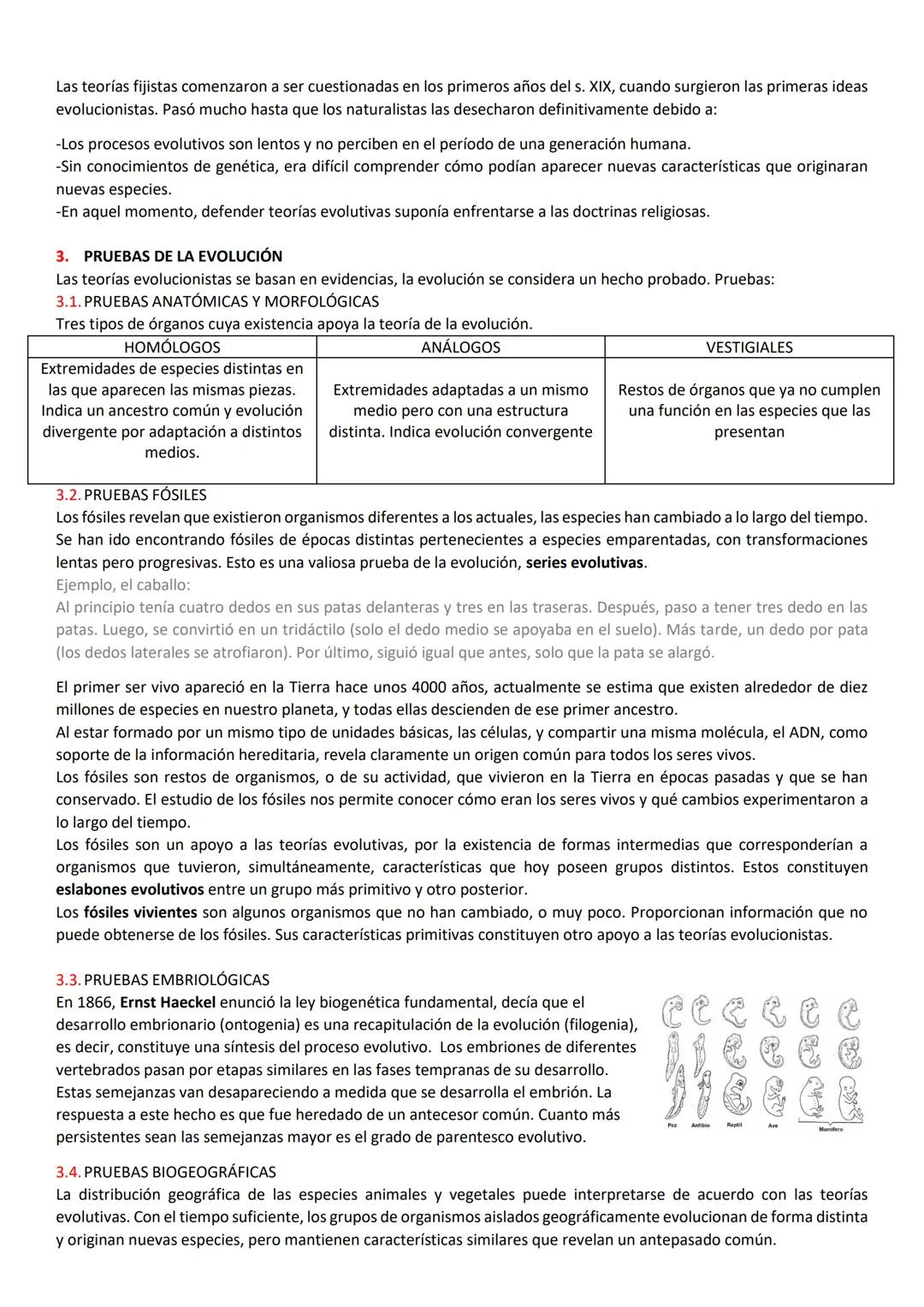 # RESUMEN DE BIOLO ORIGEN DE LA VIDA

1. EL ORIGEN DE LA VIDA

Las modernas teorías sostienen que la vida se originó a partir de moléculas e