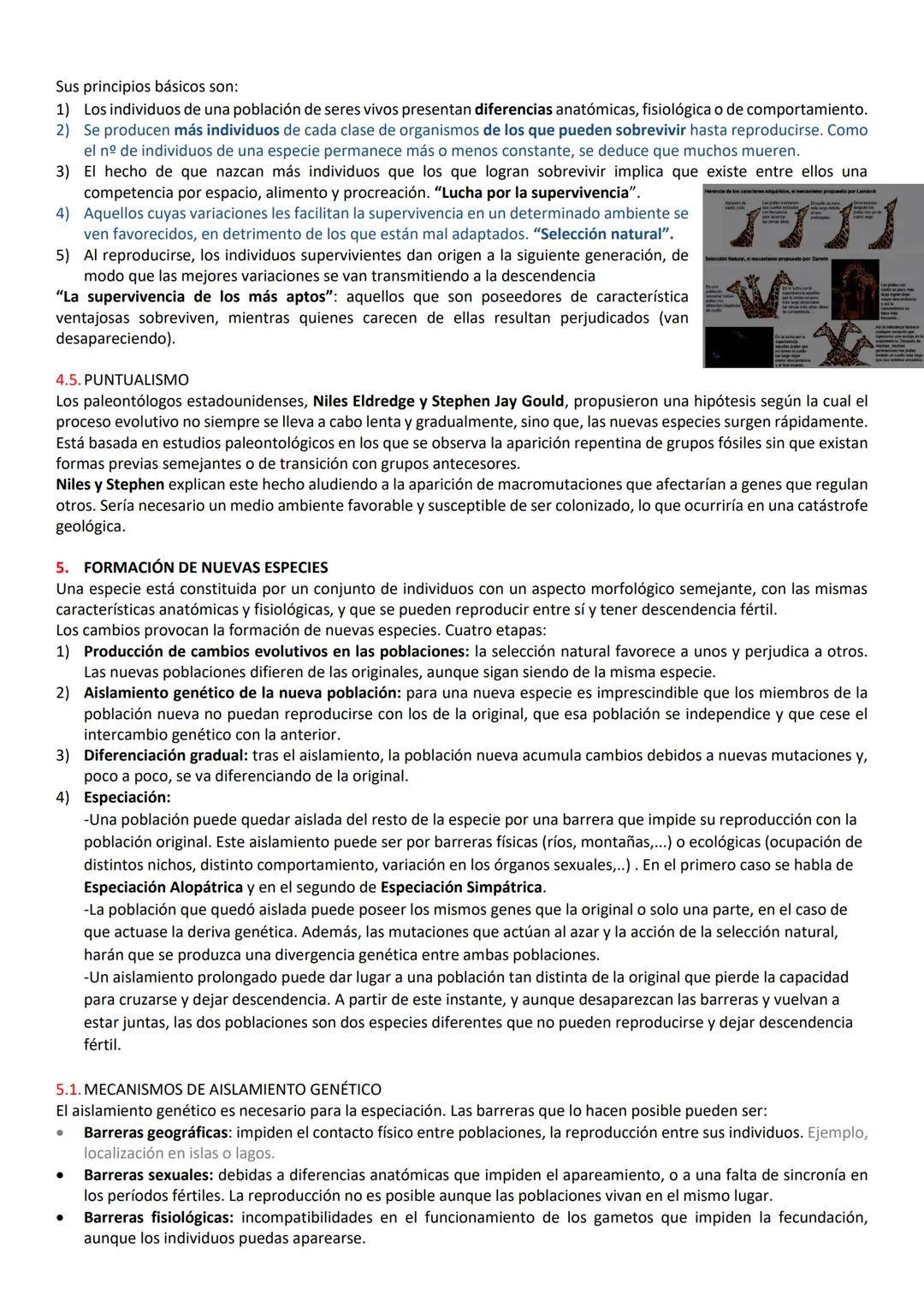 # RESUMEN DE BIOLO ORIGEN DE LA VIDA

1. EL ORIGEN DE LA VIDA

Las modernas teorías sostienen que la vida se originó a partir de moléculas e
