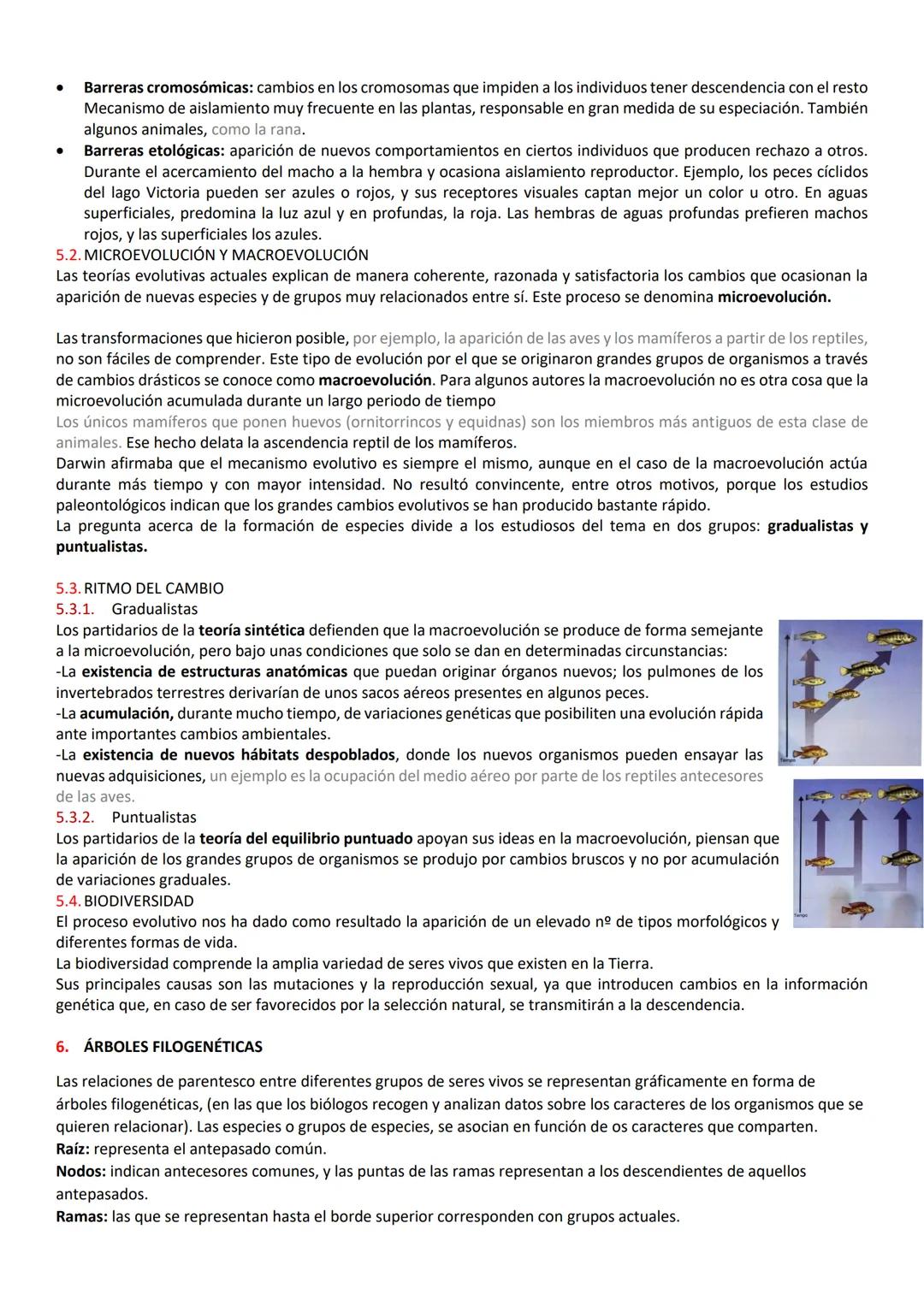 # RESUMEN DE BIOLO ORIGEN DE LA VIDA

1. EL ORIGEN DE LA VIDA

Las modernas teorías sostienen que la vida se originó a partir de moléculas e