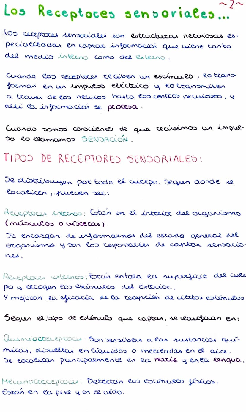 
<p>Las condiciones internas de nuestro organismo pueden alterarse debido a cambios que provienen tanto del interior del cuerpo como del ext