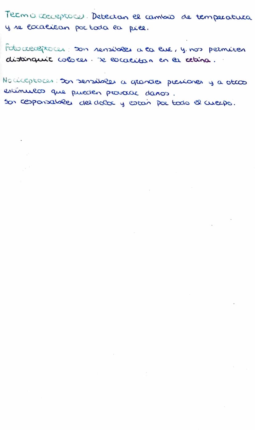 
<p>Las condiciones internas de nuestro organismo pueden alterarse debido a cambios que provienen tanto del interior del cuerpo como del ext