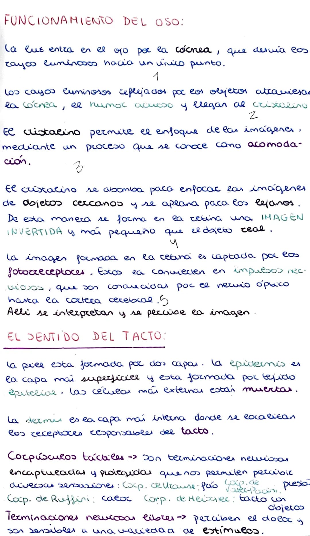 
<p>Las condiciones internas de nuestro organismo pueden alterarse debido a cambios que provienen tanto del interior del cuerpo como del ext