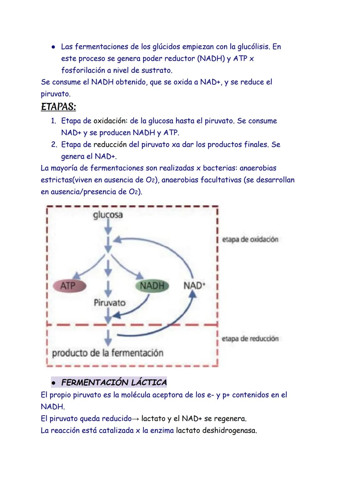 CATABOLISMO
1. EL CATABOLISMO
Son reacciones químicas degradativas que rompen las moléculas grandes y
complejas en otras más sencillas. Se t
