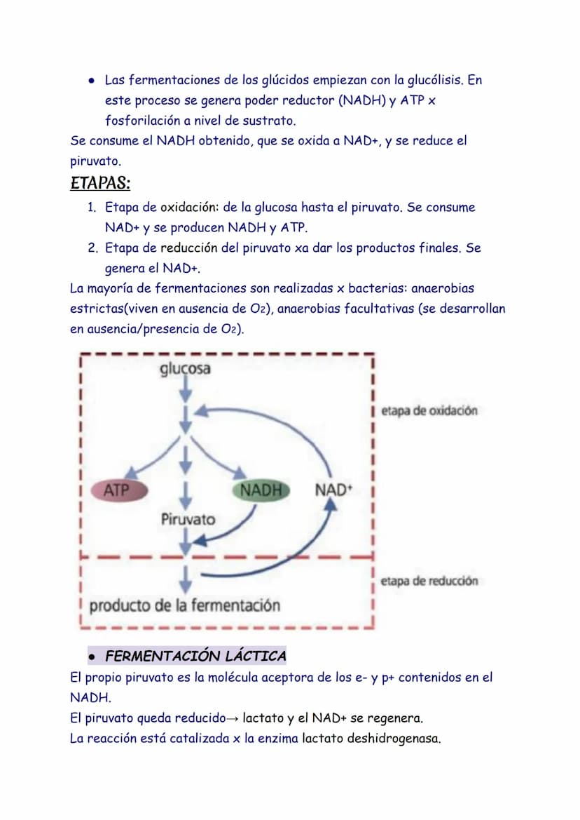 CATABOLISMO
1. EL CATABOLISMO
Son reacciones químicas degradativas que rompen las moléculas grandes y
complejas en otras más sencillas. Se t