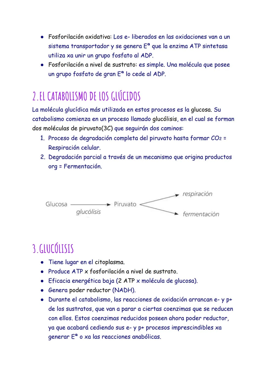 CATABOLISMO
1. EL CATABOLISMO
Son reacciones químicas degradativas que rompen las moléculas grandes y
complejas en otras más sencillas. Se t