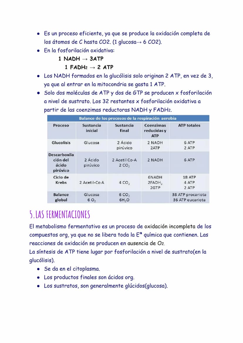 CATABOLISMO
1. EL CATABOLISMO
Son reacciones químicas degradativas que rompen las moléculas grandes y
complejas en otras más sencillas. Se t