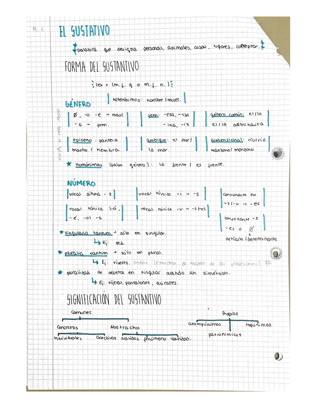 CELUGUA
O
CMS
T-1
+
CLASES DE PALABRAS I
CLASES DE PALABRAS
LA PALABRA CATEGORIAS GRAMATICALES
Clases de palabras: • artículo
• sustantivo
a