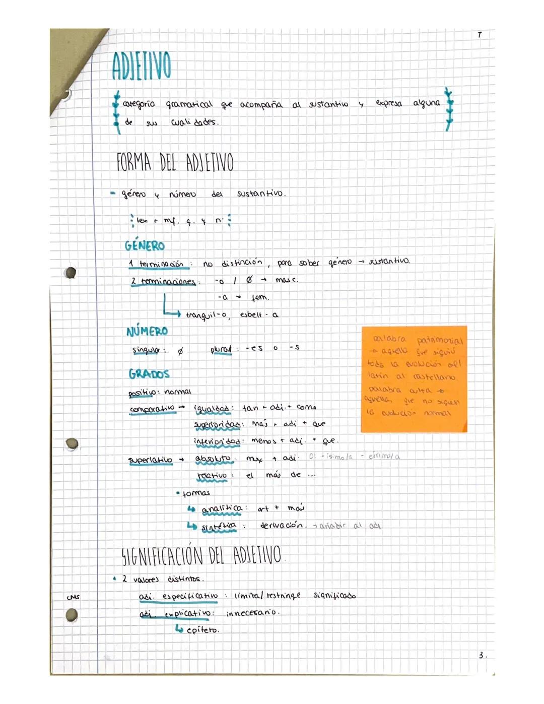 CELUGUA
O
CMS
T-1
+
CLASES DE PALABRAS I
CLASES DE PALABRAS
LA PALABRA CATEGORIAS GRAMATICALES
Clases de palabras: • artículo
• sustantivo
a