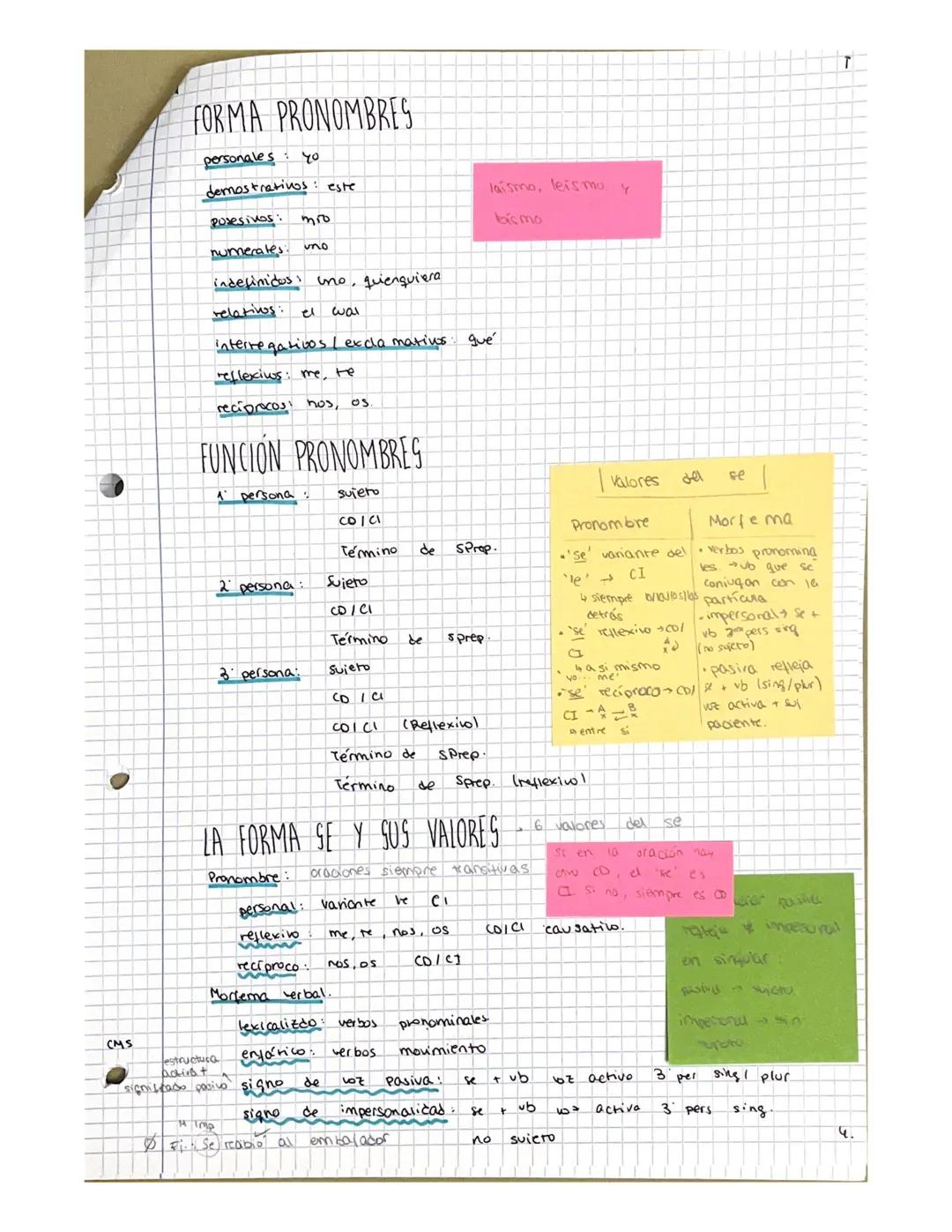 CELUGUA
O
CMS
T-1
+
CLASES DE PALABRAS I
CLASES DE PALABRAS
LA PALABRA CATEGORIAS GRAMATICALES
Clases de palabras: • artículo
• sustantivo
a