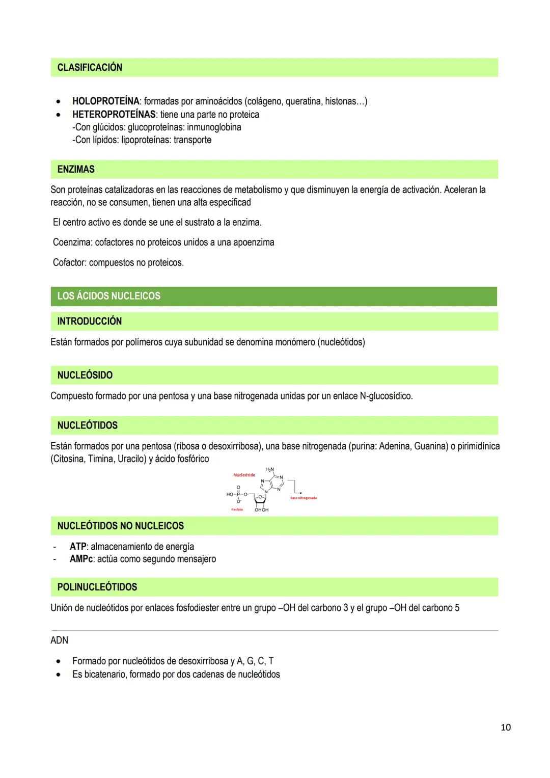 LOS BIOELEMENTOS
INTRODUCCIÓN
Los bioelementos son elementos químicos que constituyen los seres vivos. En la naturaleza existen 70 bioelemen