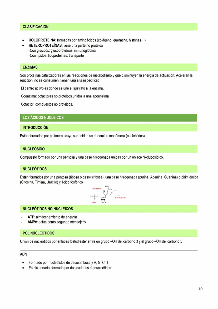 LOS BIOELEMENTOS
INTRODUCCIÓN
Los bioelementos son elementos químicos que constituyen los seres vivos. En la naturaleza existen 70 bioelemen