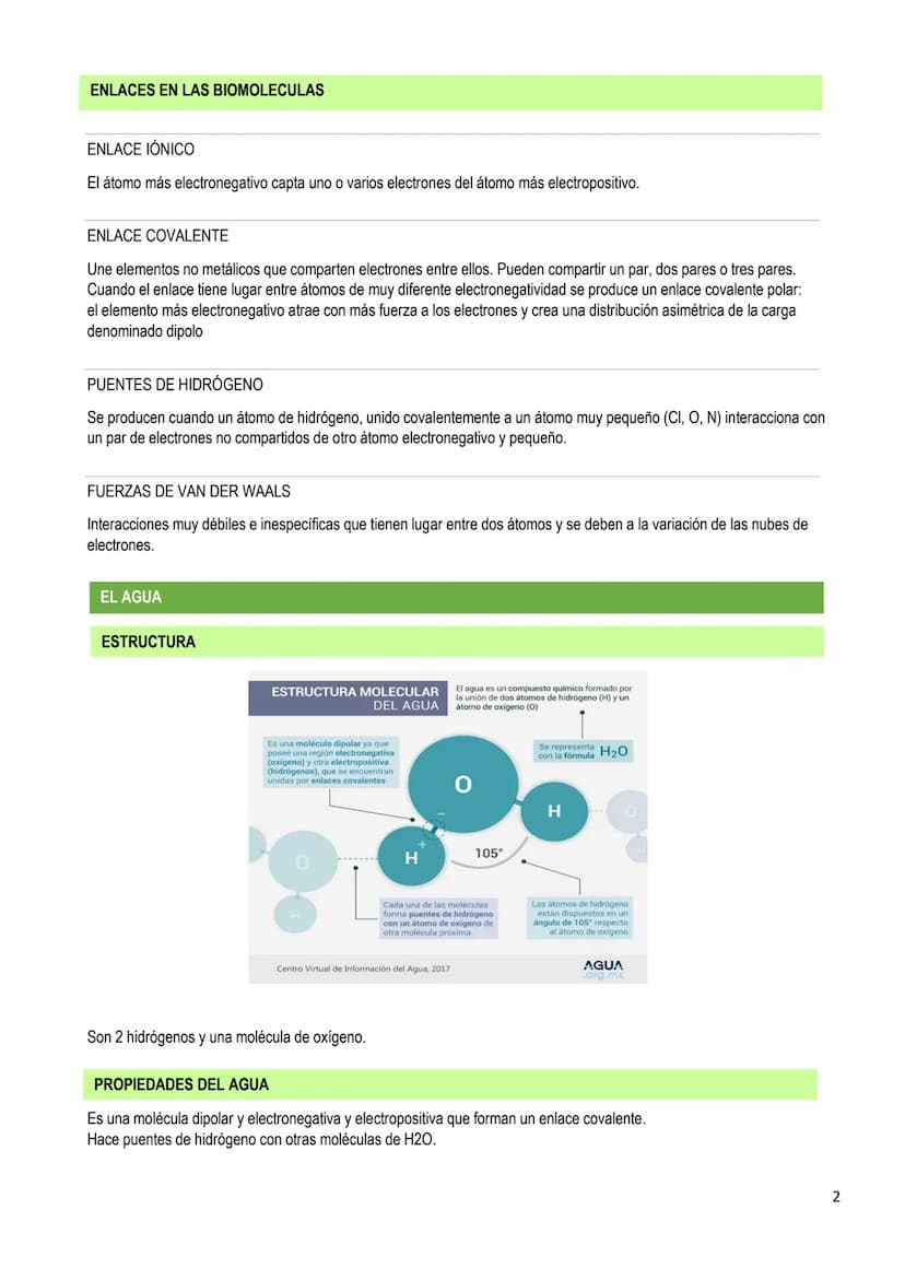 LOS BIOELEMENTOS
INTRODUCCIÓN
Los bioelementos son elementos químicos que constituyen los seres vivos. En la naturaleza existen 70 bioelemen