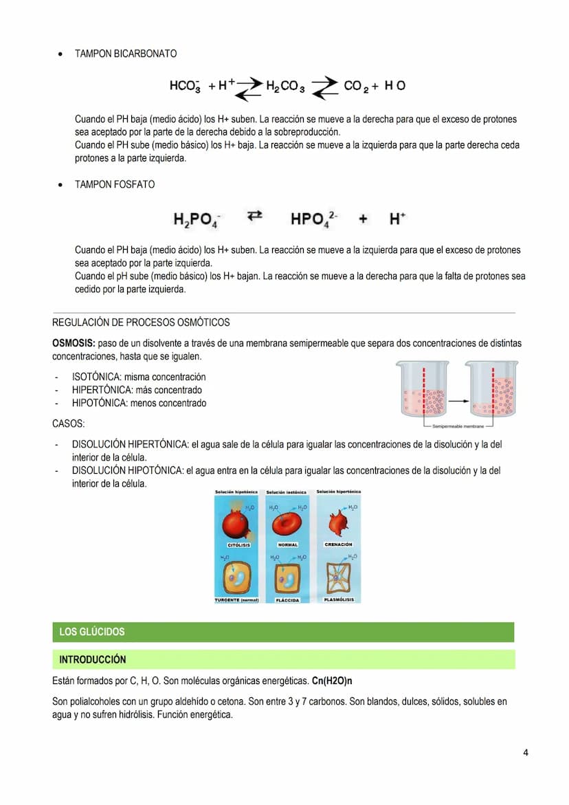 LOS BIOELEMENTOS
INTRODUCCIÓN
Los bioelementos son elementos químicos que constituyen los seres vivos. En la naturaleza existen 70 bioelemen