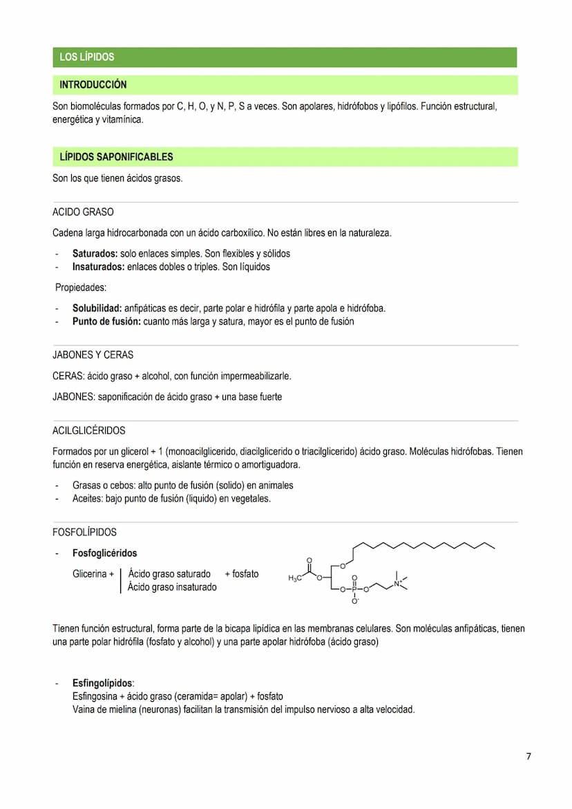 LOS BIOELEMENTOS
INTRODUCCIÓN
Los bioelementos son elementos químicos que constituyen los seres vivos. En la naturaleza existen 70 bioelemen