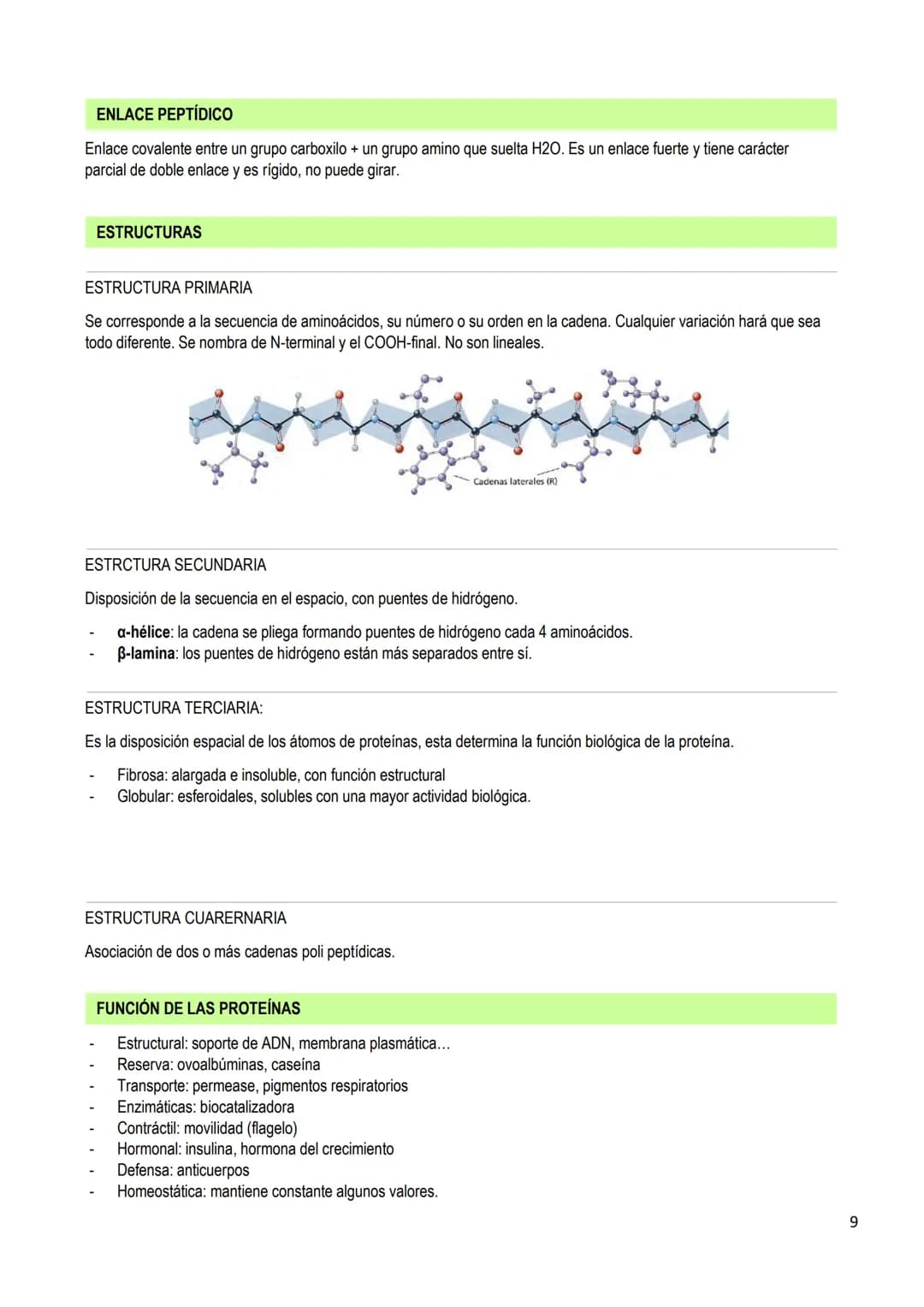 LOS BIOELEMENTOS
INTRODUCCIÓN
Los bioelementos son elementos químicos que constituyen los seres vivos. En la naturaleza existen 70 bioelemen