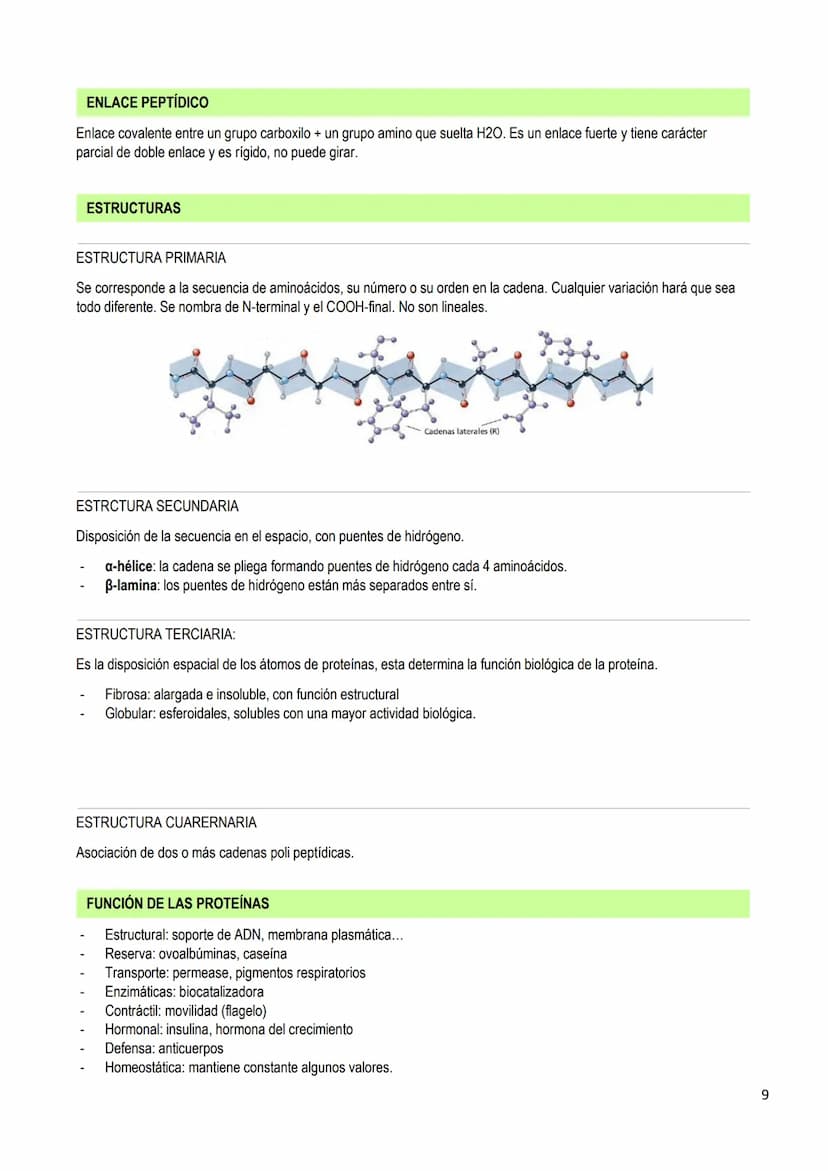 LOS BIOELEMENTOS
INTRODUCCIÓN
Los bioelementos son elementos químicos que constituyen los seres vivos. En la naturaleza existen 70 bioelemen