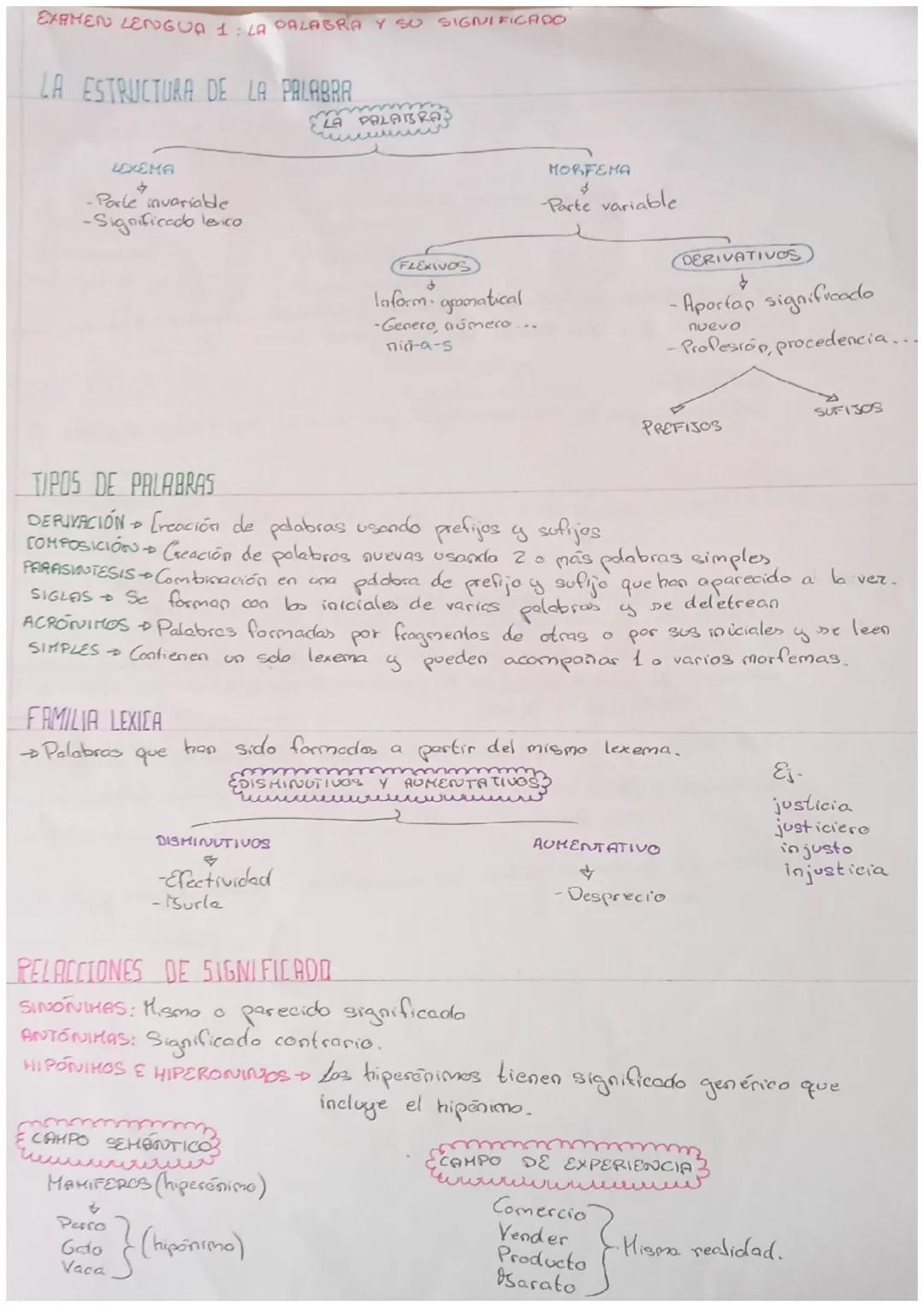 la estructura de la palabra, tipos de palabras, familia léxica, relaciones de significado, monosemia, polisemia, homonimia, acentuación de palabras, categorías gramaticales y como identificarlas 